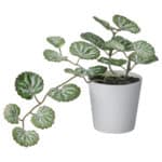 FEJKA Artificial potted plant