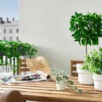 FEJKA Artificial potted plant - Image 2