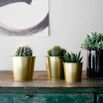 DAIDAI Plant pot - Image 2