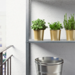 DAIDAI Plant pot - Image 3