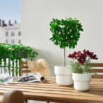 FEJKA Artificial potted plant - Image 2