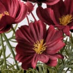 FEJKA Artificial potted plant - Image 3