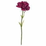 SMYCKA Artificial flower Carnation/dark lilac