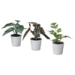 FEJKA Artificial potted plant
