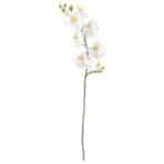 SMYCKA Artificial flower Orchid/white
