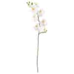 SMYCKA Artificial flower Orchid/white
