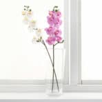 SMYCKA Artificial flower Orchid/pink - Image 2