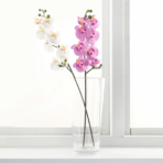SMYCKA Artificial flower Orchid/pink - Image 2
