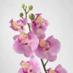 SMYCKA Artificial flower Orchid/pink - Image 3