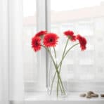 SMYCKA Artificial flower Gerbera/red - Image 3