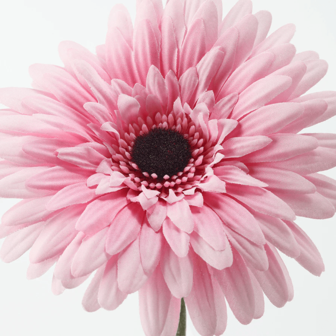 SMYCKA Artificial flower Gerbera/pink - Image 2