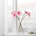 SMYCKA Artificial flower Gerbera/pink - Image 3