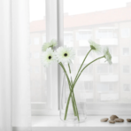 SMYCKA Artificial flower Gerbera/white - Image 3