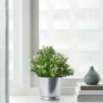 FEJKA Artificial potted plant - Image 2
