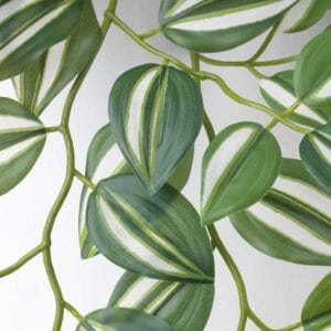 FEJKA Artificial plant with wall holder - Image 8