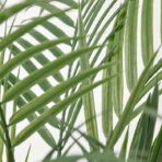 FEJKA Artificial potted plant - Image 3