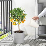 IKEA PS 2002 Watering can, light green - Image 4