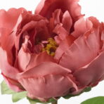 SMYCKA Artificial flower, Peony/dark pink - Image 2