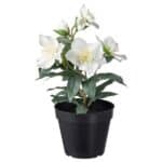 VINTERFINT Artificial potted plant, in/outdoor Christmas rose, 12 cm