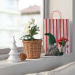 VINTERFINT Artificial potted plant, in/outdoor Christmas rose, 12 cm - Image 2