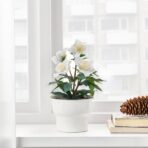 VINTERFINT Artificial potted plant, in/outdoor Christmas rose, 12 cm - Image 7