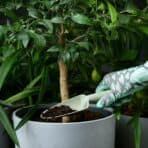 GRÄSMARÖ 3-piece gardening set, in/outdoor light green - Image 2