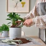 GRÄSMARÖ 3-piece gardening set, in/outdoor light green - Image 3