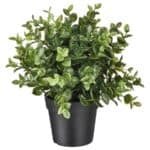 FEJKA Artificial potted plant, oregano, 9 cm