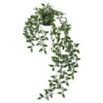 FEJKA Artificial potted plant, in/outdoor/hanging, 9 cm