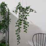 FEJKA Artificial potted plant, in/outdoor/hanging, 9 cm - Image 2