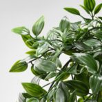 FEJKA Artificial potted plant, in/outdoor/hanging, 9 cm - Image 6