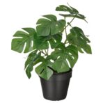 FEJKA Artificial potted plant, in/outdoor Monstera, 12 cm