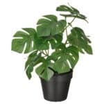 FEJKA Artificial potted plant, in/outdoor Monstera, 12 cm