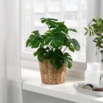 FEJKA Artificial potted plant, in/outdoor Monstera, 12 cm - Image 2