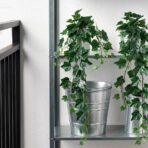 FEJKA Artificial potted plant, in/outdoor/hanging Ivy, 12 cm - Image 3