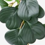 FEJKA Artificial potted plant, in/outdoor hanging/Peperomia, 9 cm - Image 4