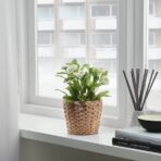 FRIDFULL Plant pot, water hyacinth, 12 cm - Image 4