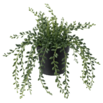 FEJKA Artificial potted plant, in/outdoor String of beads, 9 cm