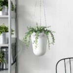 FEJKA Artificial potted plant, in/outdoor String of beads, 9 cm - Image 2