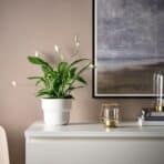 PÄRLBAND Tealight holder, 10 cm - Image 6