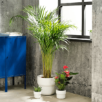 FÖRENLIG Plant pot, in/outdoor white, 12 cm - Image 3