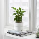 FÖRENLIG Plant pot, in/outdoor white, 12 cm - Image 4
