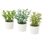 FEJKA Artificial potted plant w pot, set of 3, in/outdoor herbs, 5 cm