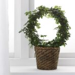 DRUVFLÄDER Plant pot, water hyacinth/grey, 12 cm - Image 3