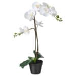 FEJKA Artificial potted plant, Orchid white, 12 cm