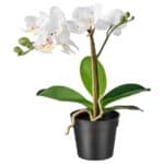 FEJKA Artificial potted plant, Orchid white, 9 cm