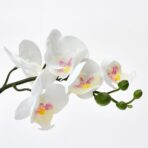 FEJKA Artificial potted plant, Orchid white, 9 cm - Image 3