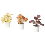 FEJKA Artificial potted plant w pot, set of 3, in/outdoor leaves, 6 cm