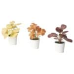 FEJKA Artificial potted plant w pot, set of 3, in/outdoor leaves, 6 cm
