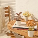 FEJKA Artificial potted plant w pot, set of 3, in/outdoor leaves, 6 cm - Image 4